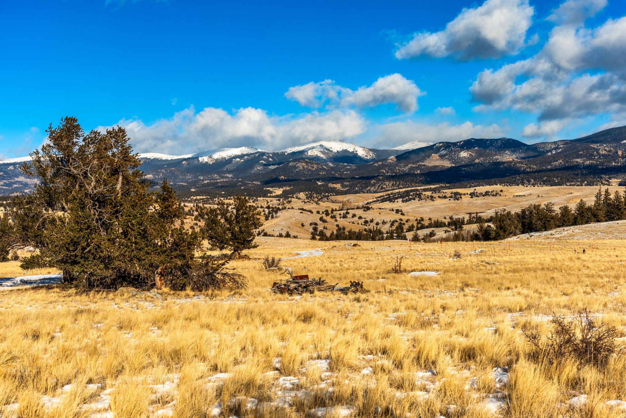 Colorado mountain land with golden grassland and snow-capped peaks